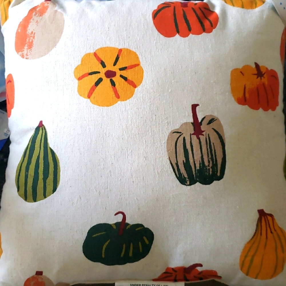 Holiday/ Autumn pillow